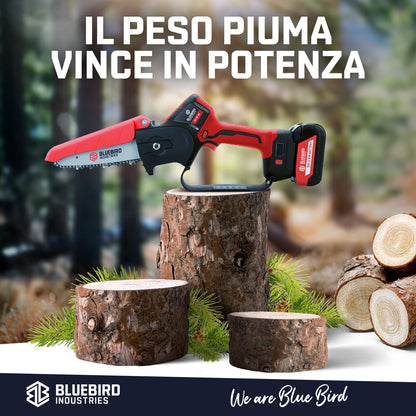 BLUEBIRD potatore a batteria CS 22-07