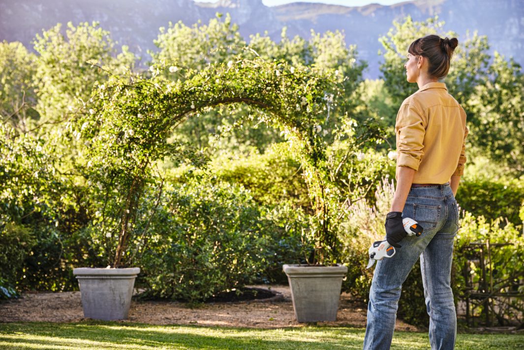 STIHL ASA 20 con caricatore AL 1 e batteria AS 2