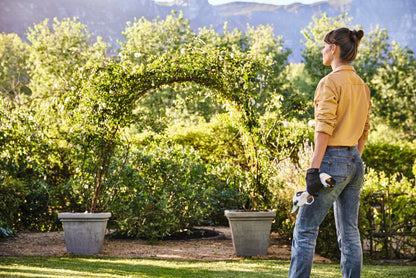 STIHL ASA 20 con caricatore AL 1 e batteria AS 2