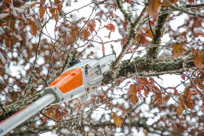 STIHL HTA 50 - Sramatore a batteria con 2 AK 20 e AL 101